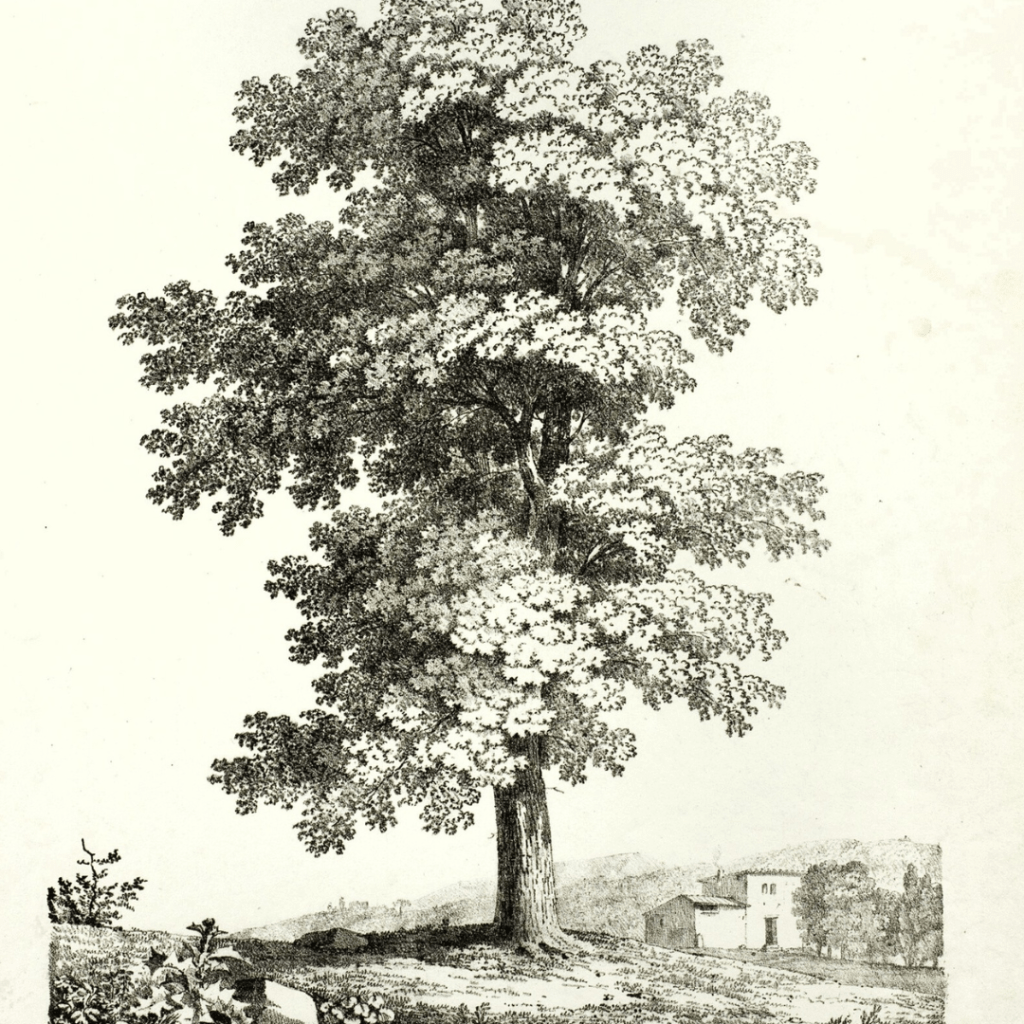 What shall I&nbsp;do?